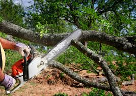 Best Lawn Maintenance Plans  in Alto, GA