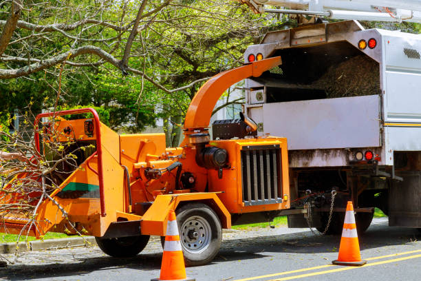Mulching Services in Alto, GA