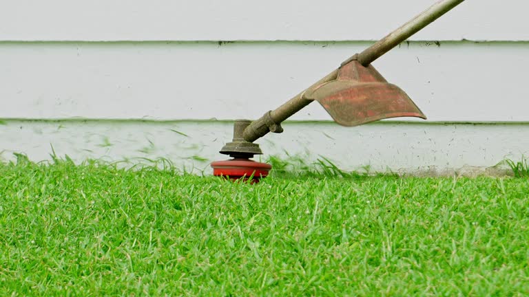 Best Lawn Irrigation Installation and Maintenance  in Alto, GA